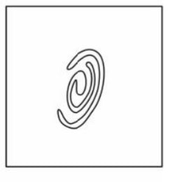 Black whole Glam Goodies