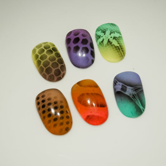 Lace Fabric set 2 Glam Goodies