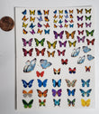 Butterfly Waterslide Nail Decals Glam Goodies