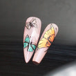 Ombre Butterflies Glam Goodies